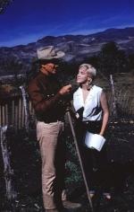 Мэрилин Монро: 287x450 / 28 Кб