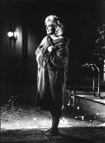 Мэрилин Монро: 330x450 / 29 Кб