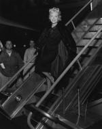 Мэрилин Монро: 319x400 / 23 Кб