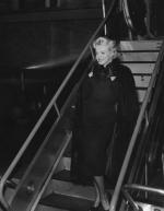 Мэрилин Монро: 311x400 / 20 Кб