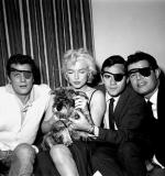 Мэрилин Монро: 424x450 / 44 Кб