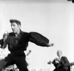 Элвис Пресли: 383x367 / 18 Кб