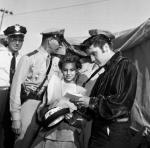 Элвис Пресли: 394x388 / 35 Кб