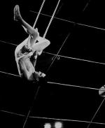 Элвис Пресли: 369x450 / 20 Кб