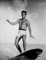 Элвис Пресли: 344x450 / 26 Кб