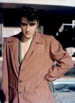 Элвис Пресли: 329x450 / 41 Кб