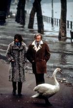 Ринго Старр: 304x450 / 34 Кб