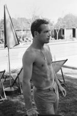 Пол Ньюман: 265x400 / 23 Кб