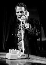 Пол Ньюман: 322x450 / 24 Кб