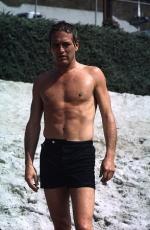 Пол Ньюман: 294x450 / 35 Кб