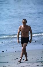 Пол Ньюман: 287x450 / 29 Кб