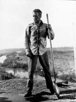 Пол Ньюман: 337x450 / 41 Кб