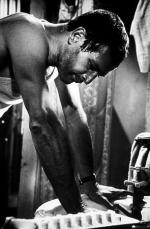 Пол Ньюман: 295x450 / 33 Кб