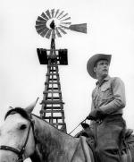 Пол Ньюман: 374x450 / 33 Кб