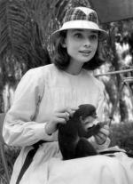 Одри Хепберн: 291x400 / 27 Кб