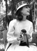 Одри Хепберн: 291x400 / 28 Кб