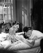 Одри Хепберн: 374x450 / 39 Кб