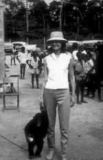 Одри Хепберн: 293x450 / 37 Кб