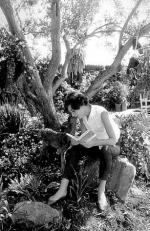 Одри Хепберн: 293x450 / 60 Кб