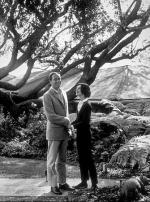 Одри Хепберн: 335x450 / 62 Кб