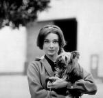 Одри Хепберн: 425x401 / 34 Кб