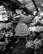 Одри Хепберн: 364x450 / 64 Кб