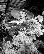 Одри Хепберн: 367x450 / 60 Кб