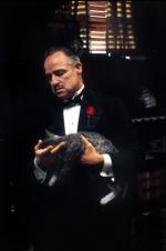 Марлон Брандо: 288x432 / 14 Кб