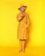 Дорис Дэй: 337x420 / 15 Кб