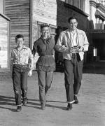 Дорис Дэй: 375x450 / 49 Кб