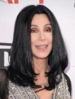 Шер: 305x400 / 28 Кб