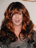 Шер: 300x400 / 34 Кб