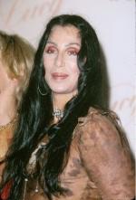 Шер: 272x400 / 24 Кб