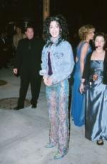 Шер: 262x400 / 22 Кб