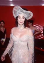 Шер: 285x400 / 24 Кб