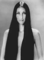 Шер: 331x450 / 15 Кб