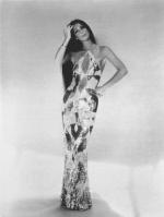 Шер: 340x450 / 24 Кб