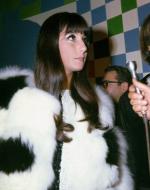 Шер: 332x420 / 25 Кб