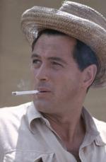 Рок Хадсон: 263x400 / 19 Кб