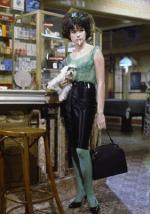 Ширли МакЛейн: 281x400 / 29 Кб