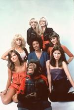 Джуди Лэндерс: 303x450 / 28 Кб