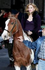 Мадонна: 255x400 / 30 Кб