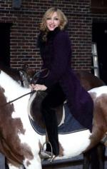 Мадонна: 254x400 / 24 Кб