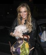 Линдси Лохан: 337x400 / 29 Кб