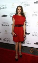 Брук Шилдс: 245x400 / 19 Кб