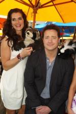 Брук Шилдс: 267x400 / 26 Кб