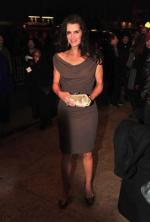 Брук Шилдс: 271x400 / 18 Кб