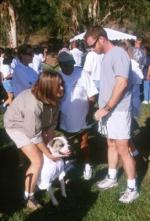 Брук Шилдс: 272x400 / 29 Кб