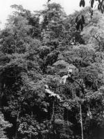 Шон Коннери: 962x1280 / 286 Кб