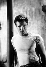Марлон Брандо: 313x450 / 31 Кб